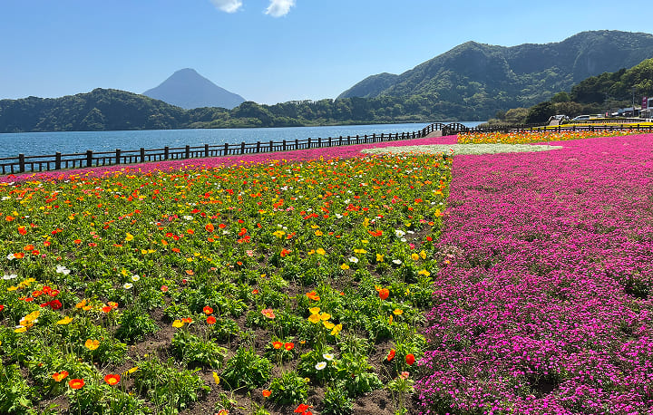 自然と温泉の癒やし